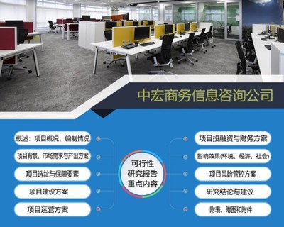 重慶璧山項目可行性研究報告代寫與商務信息咨詢服務解析